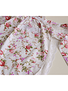 ���킢���t�����ƃ��[�X�̃��[�Y�G�v����