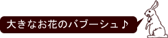 �傫�Ȃ��Ԃ̃o�u�[�V��