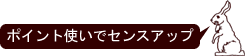 �|�C���g�g���ŃZ���X�A�b�v