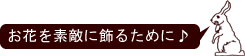���Ԃ�f�G�ɏ��邽�߂�