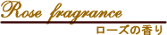 ���[�Y�̍���