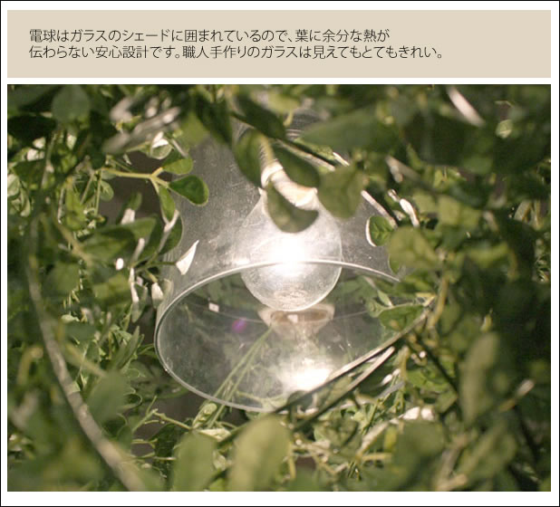 電球はガラスのシェードに囲まれているので、葉に余分な熱が伝わらない安心設計です。職人手作りのガラスは見えてもとてもきれい。