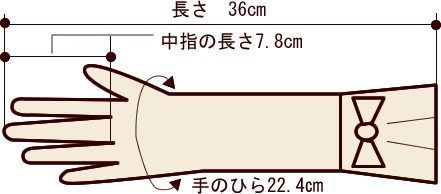 サイズはこんな感じです☆