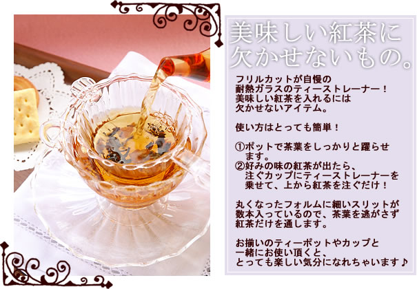 Ashbysガラスティーストレーナー(茶漉し)