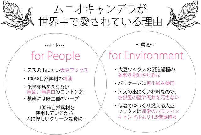 ムニオキャンデラが世界中で愛されている理由。ススの出にくい大豆ワックス。自然素材の精油。化学薬品を含まない無縁、無漂白のコットン芯。野生種のハーブ。