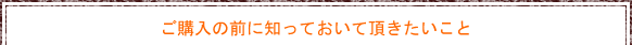 フルールバブーシュご購入の前に知っておいて頂きたいこと