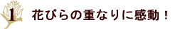 花びらの重なりに感動