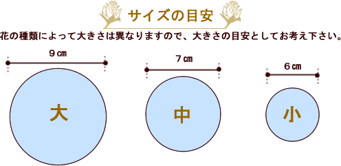 サイズの目安～マダムロバお花ピン～