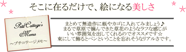 そこにあるだけで絵になる美しさ