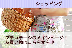 �v�`�R�e�[�W���C���̃V���b�s���O�͂�����