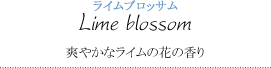 ライムブロッサム～爽やかなライムの花の香り