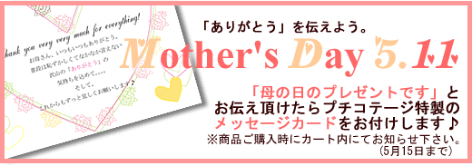 ��̓��̃X�y�V�����J�[�h�����p�ӂ��܂���