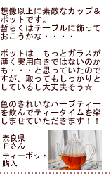 �e�B�[�|�b�g���w���̂��q�l����̐�