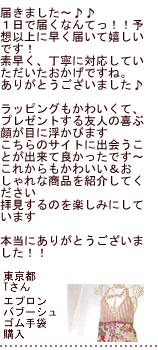 �G�v�������w���̂��q�l����̐�