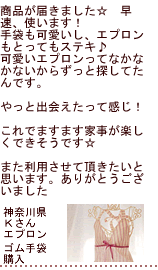 �G�v�������w���̂��q�l����̐�