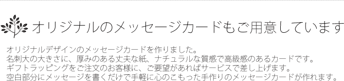 オリジナルのメッセージカードもご用意しています。名刺大の大きさに厚みのある上部な紙、ナチュラルな質感で高級感のあるカードです。ギフトラッピングをご注文のお客様に、ご要望があればサービスで差し上げます。空白部分にメッセージを書くだけで手軽に心のこもった手作りのメッセージカードが作れます